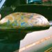 Photo Buick Enclave